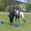 Rajd Mszana Górna 2015